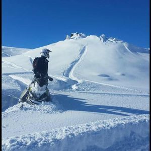 Meet your Posher, Alex